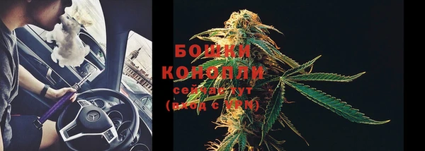 МДМА Горняк
