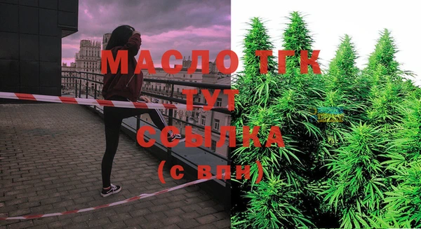 мяу мяу кристалл Корсаков