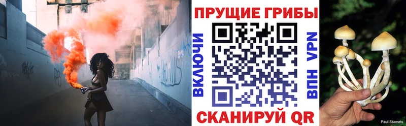 Псилоцибиновые грибы GOLDEN TEACHER  Павловская 