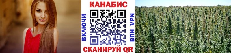 Шишки марихуана тримм  hydra как войти  Павловская 